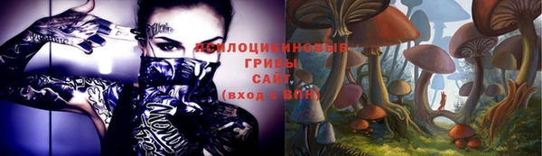 мяу мяу мука Кострома