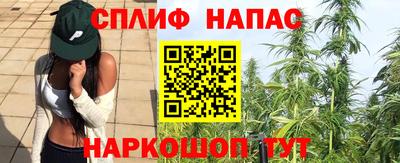 ПСИЛОЦИБИНОВЫЕ ГРИБЫ Апшеронск