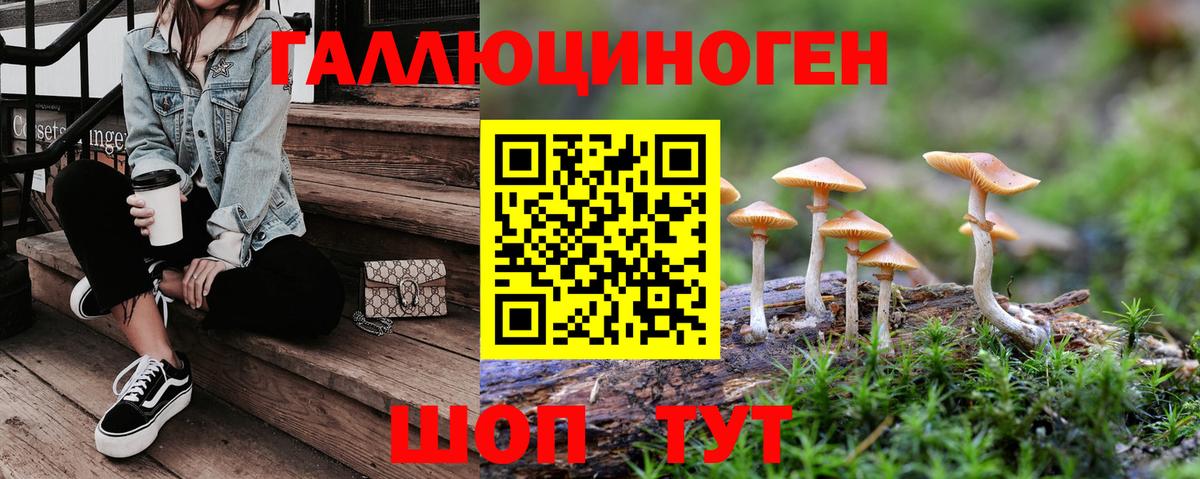 Псилоцибиновые грибы Cubensis  Белогорск 